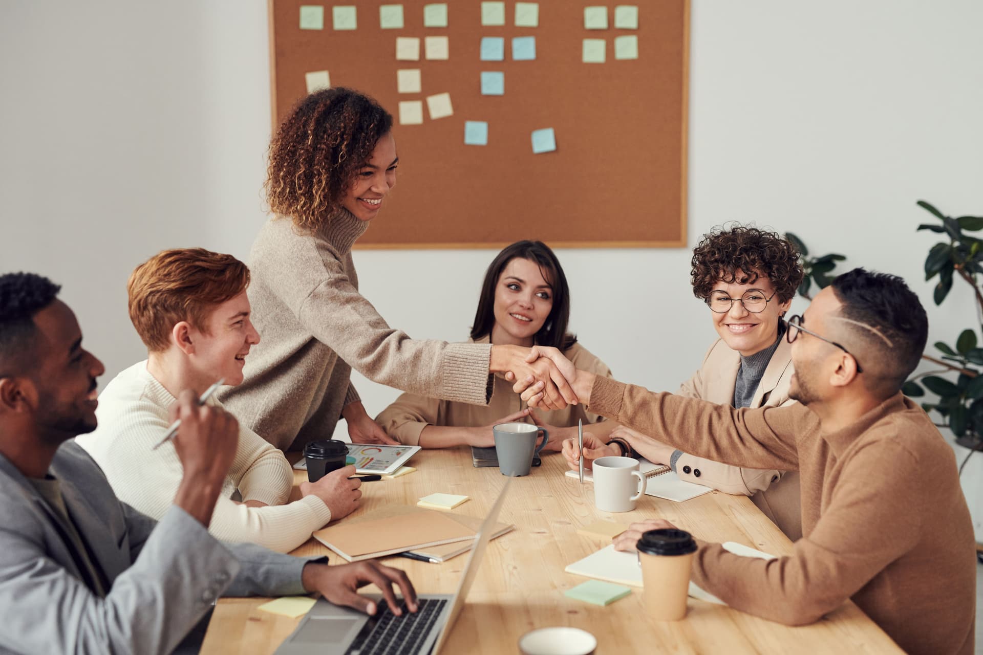 Small business team collaborating over growth plans